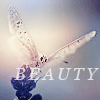 butterfly-in-sky_zpsbe13d8c8