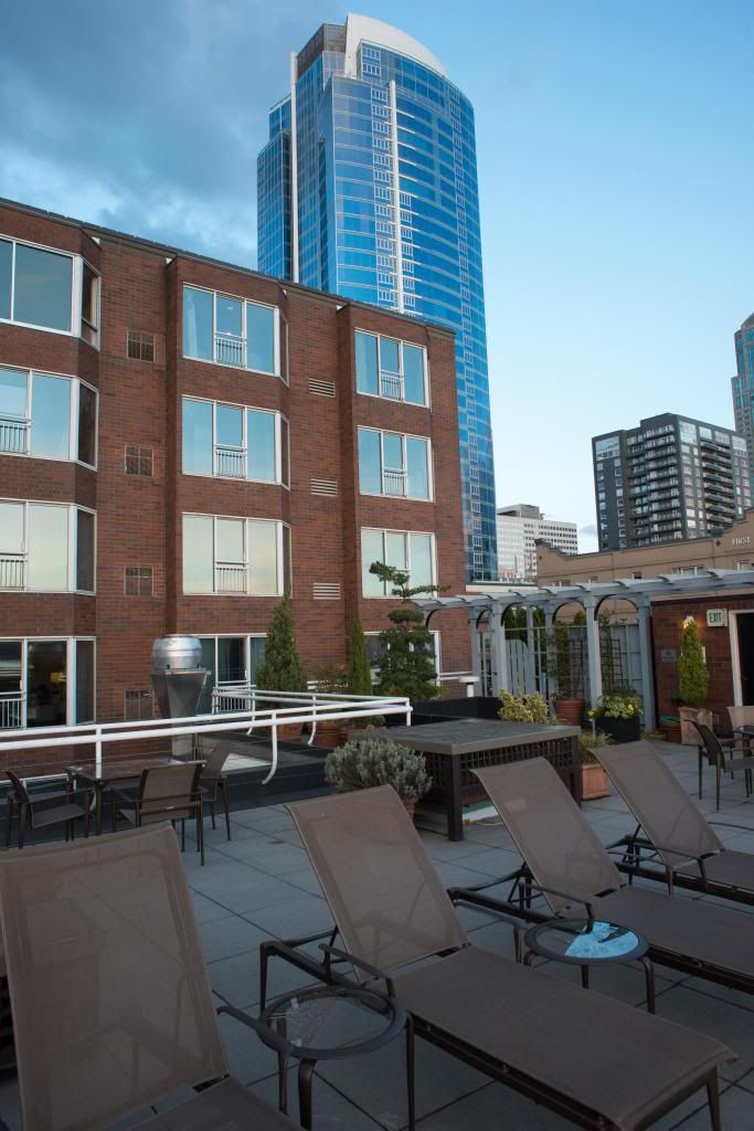 Rooftop In Seattle Photo by theckler1 | Photobucket