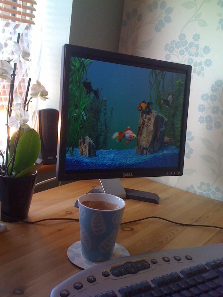 desk2.jpg