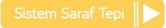 Next Sistem Saraf Tepi
