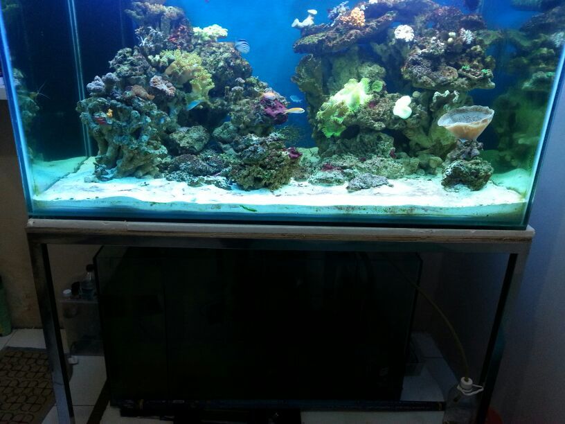 IMG-20130320-WA000_zps30a498e6.jpg