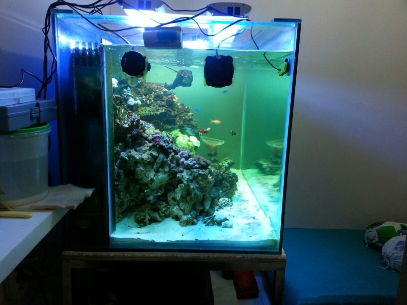 IMG-20130320-WA004_zpsa1d628d7.jpg