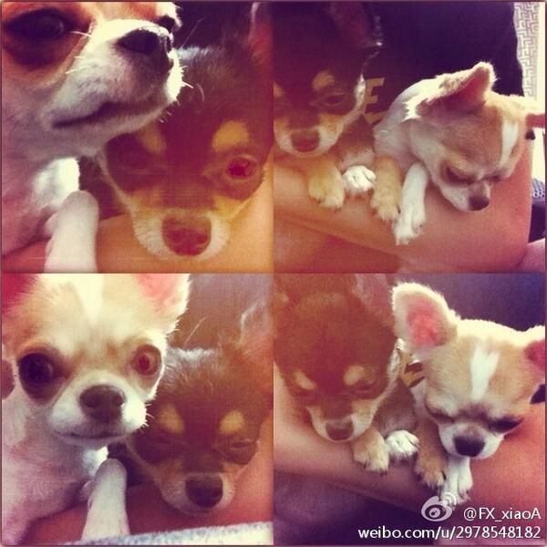  photo UOhsvzc_zps8b60abbc.jpg