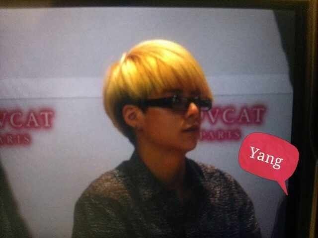  photo fZv0wg9_zps9456ec4c.jpg