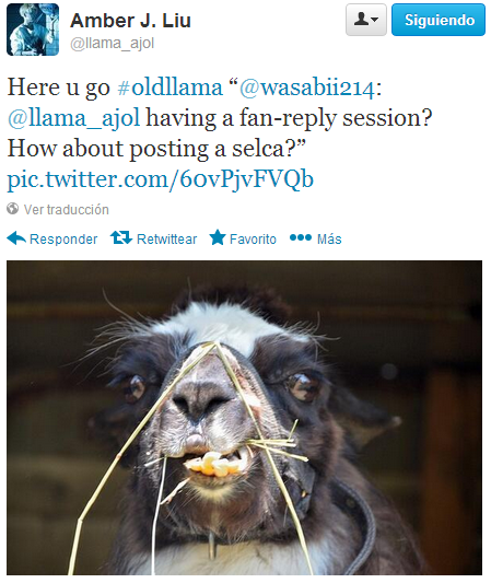  photo amber46_zpsef0f5880.png