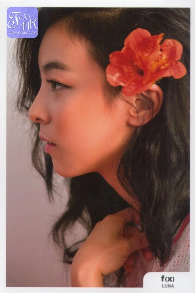  photo yDwDcRQ_zps4ca5ba09.jpg