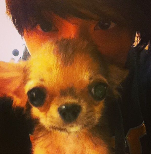 photo 43_zpseec89b82.jpg