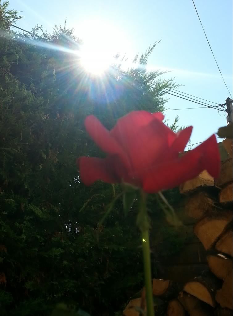20131007_113906-1-1.jpg
