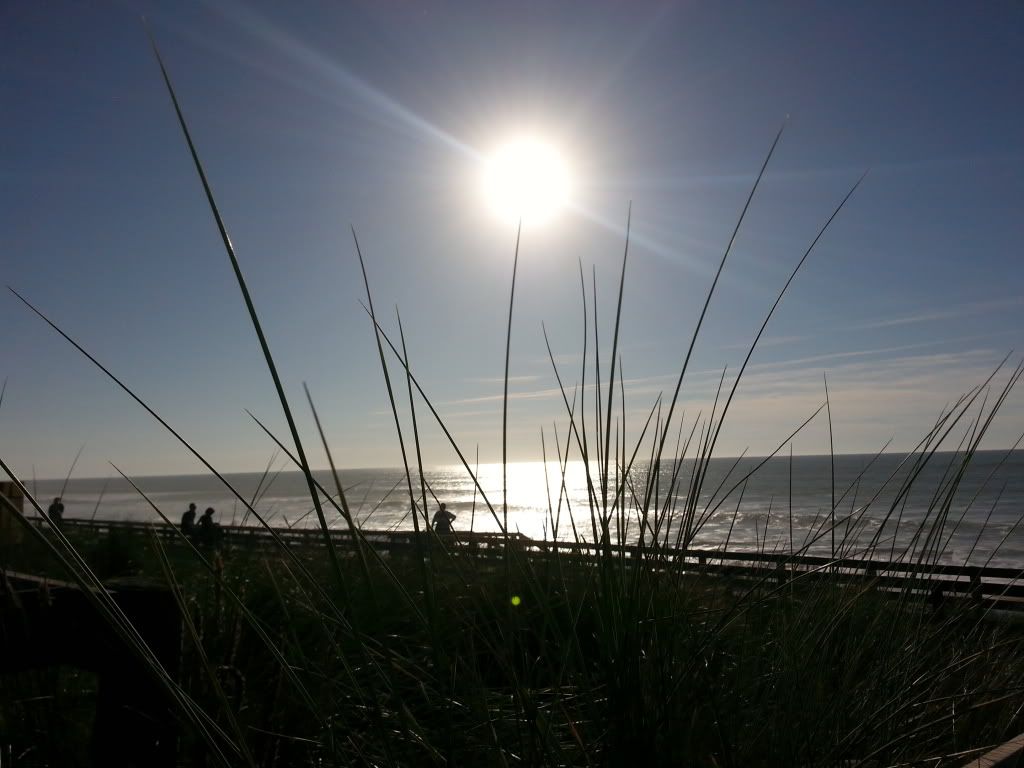 20131018_171051.jpg