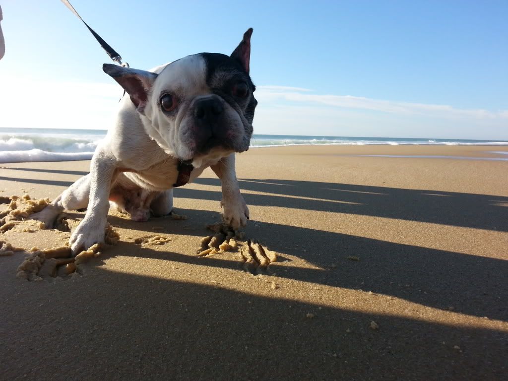 20131018_171504.jpg