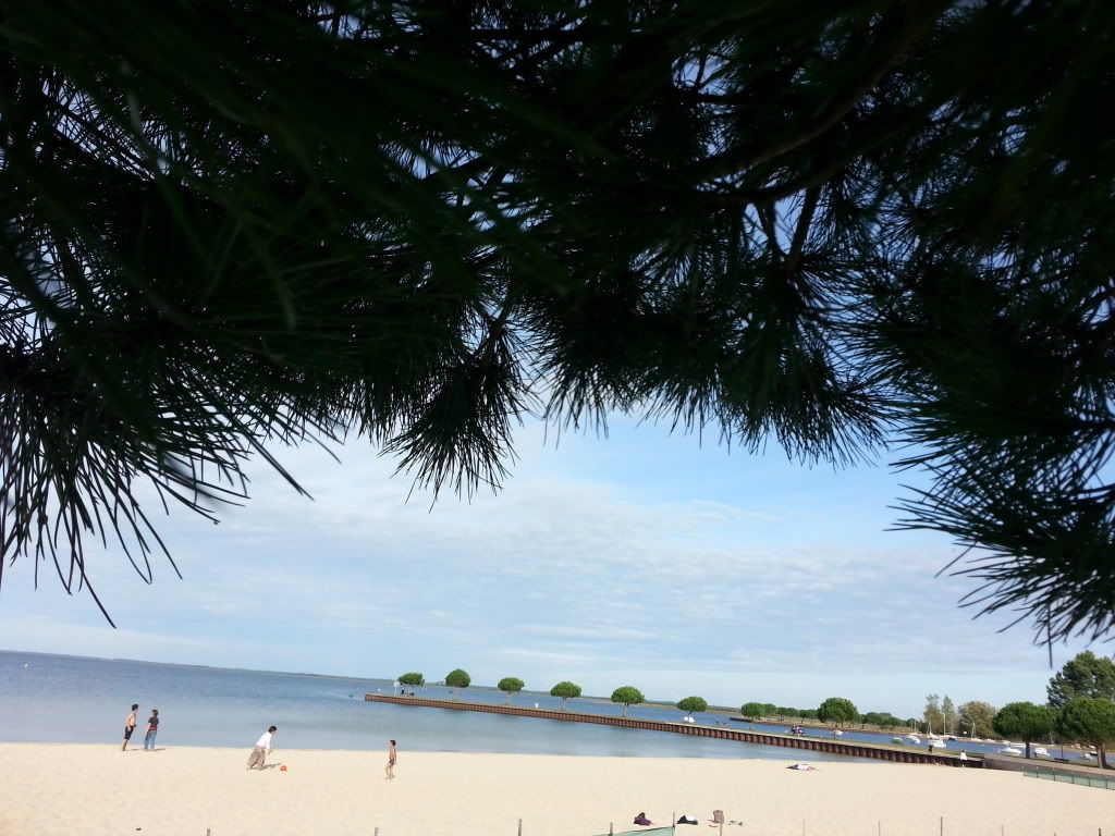 20131020_162738.jpg