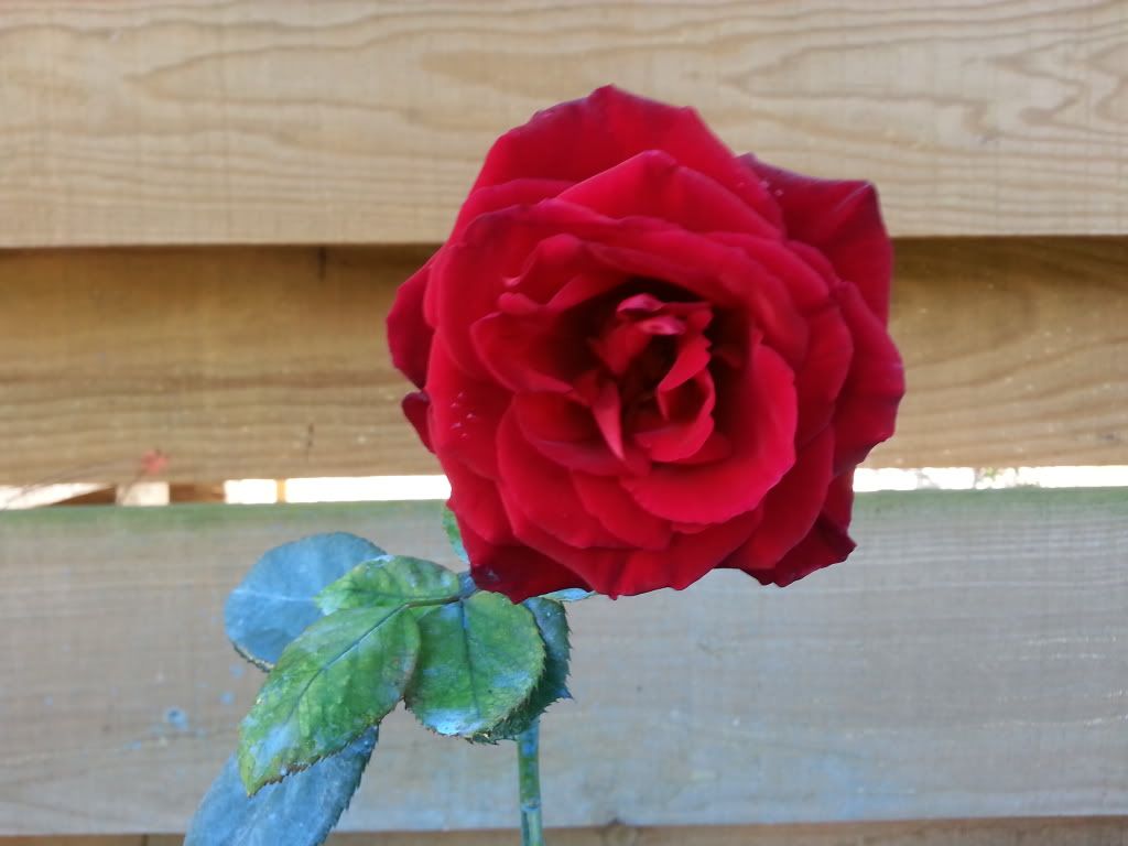 20131023_152451.jpg