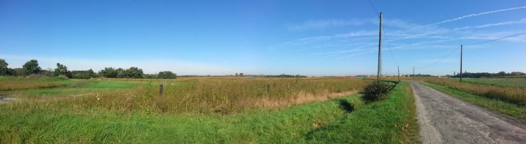 20131031_113927.jpg
