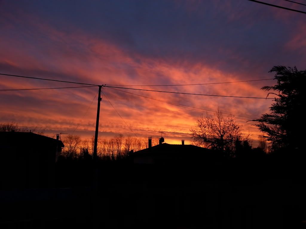 20131217_082452.jpg