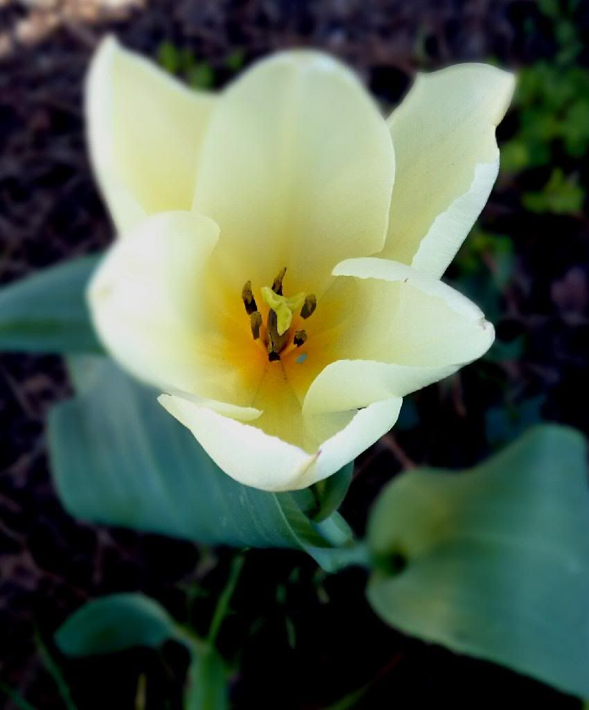 20140319_162933_20140319163145600.jpg