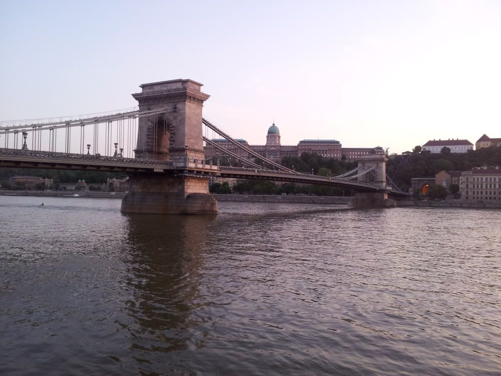 698233d7.jpg