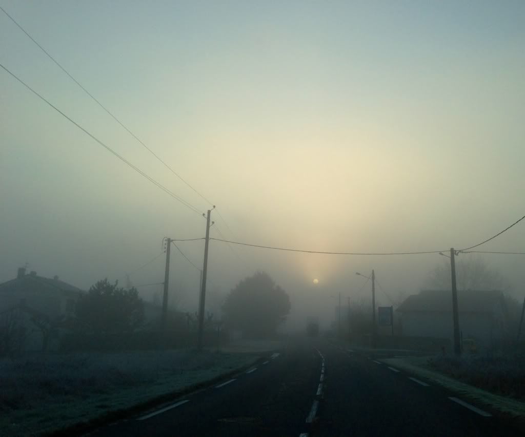 82DC71DE-31EF-4DBA-A18E-E22DFA497CEA-1699-000000DDDBE9C0F6.jpg