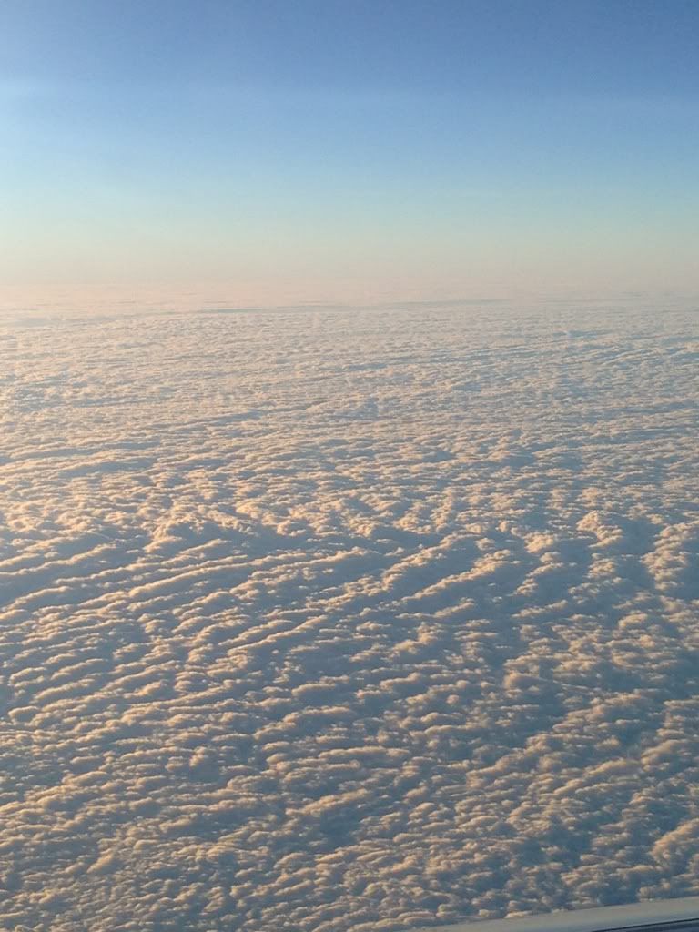 946073EB-8F27-464A-823E-556F2E3B7922-158-00000003CCCB0583.jpg