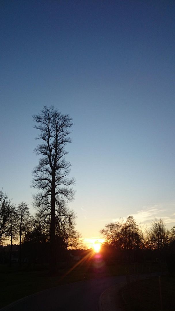 DSC_0489_4.jpg