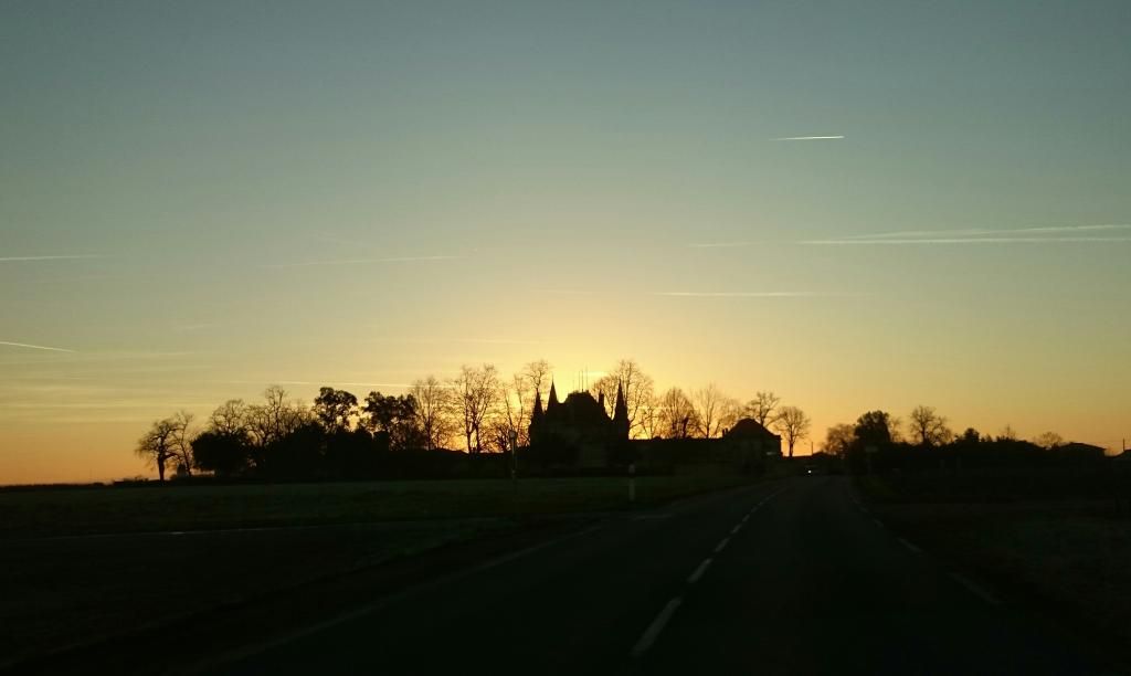 DSC_0717.jpg
