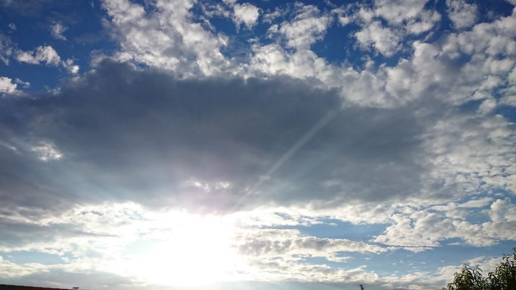 DSC_0973.jpg