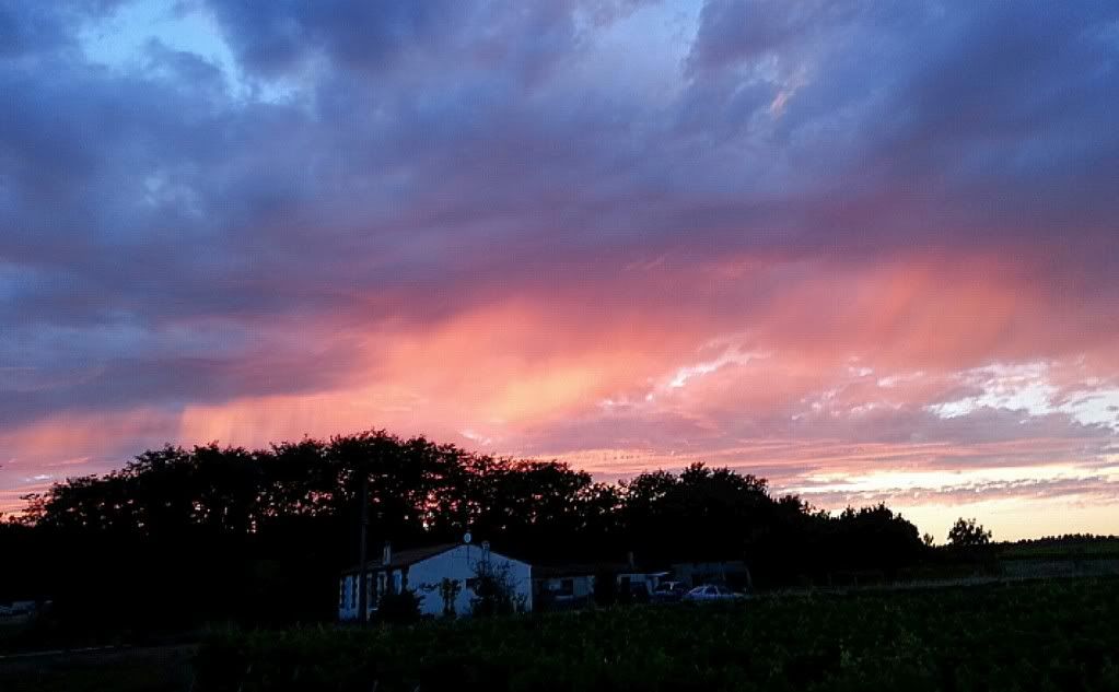 IMG_20130806_184912.jpg