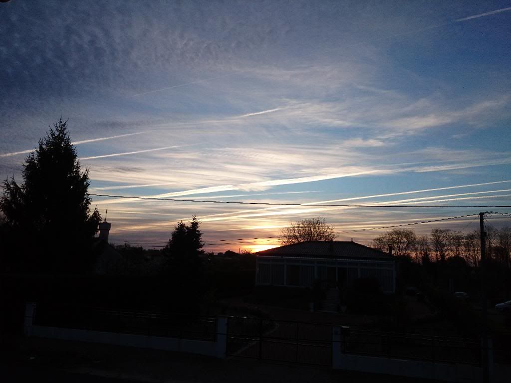 DSC_0125.jpg