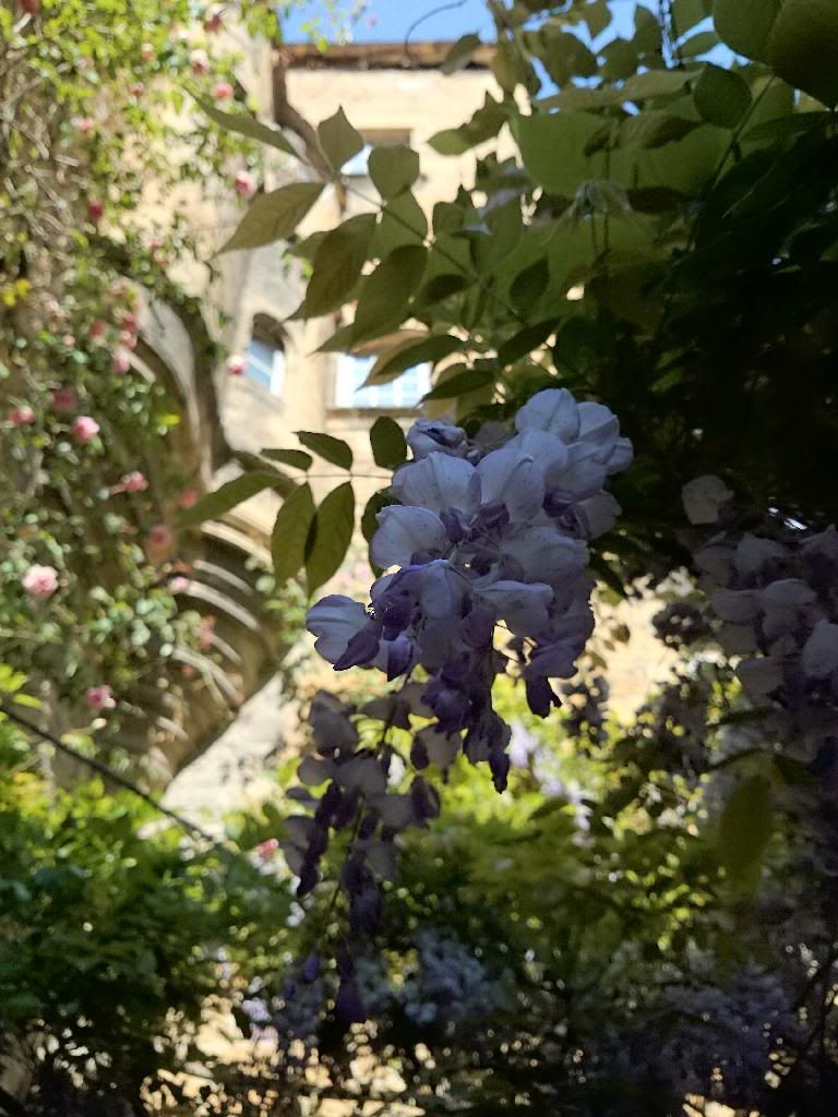 DSC_0514.jpg