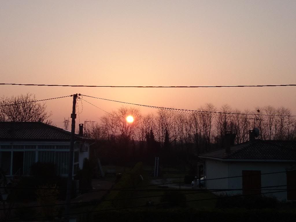 DSC_0849.jpg