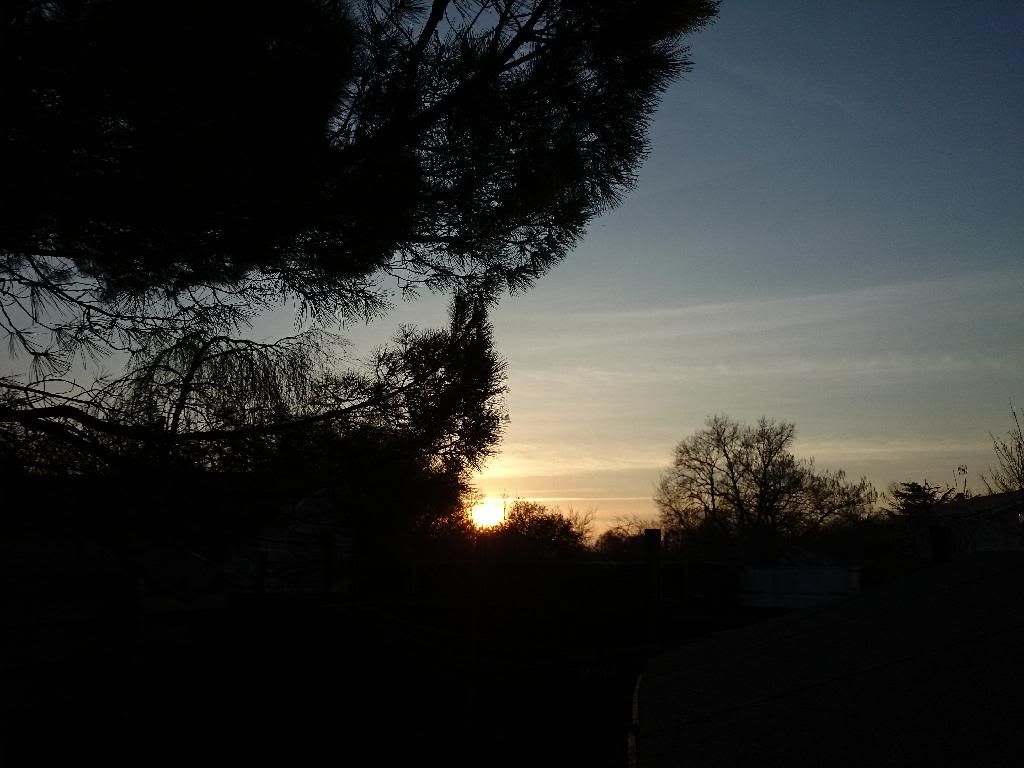 DSC_1051.jpg