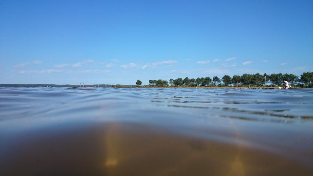 DSC_1257.jpg