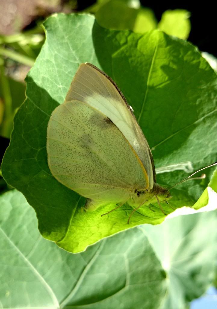 DSC_1401.jpg