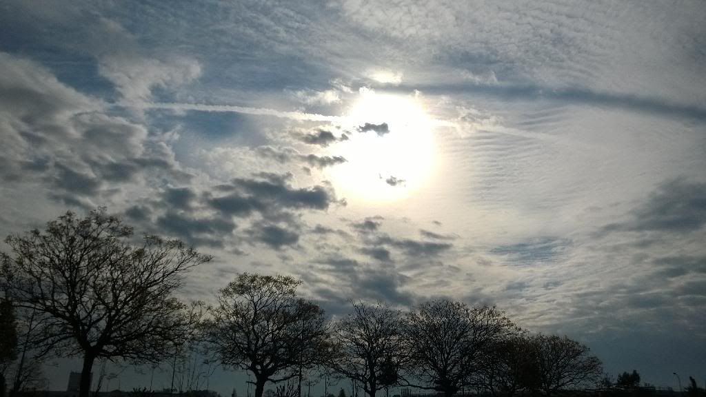 WP_20140328_001.jpg