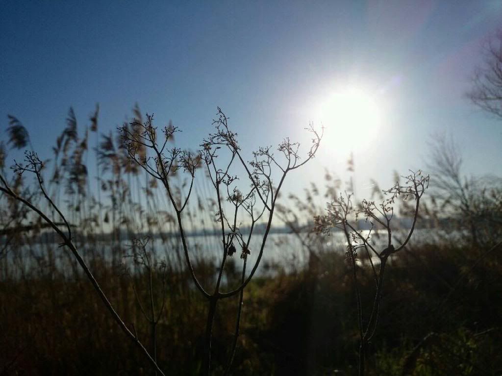 img20140306_211254.jpg