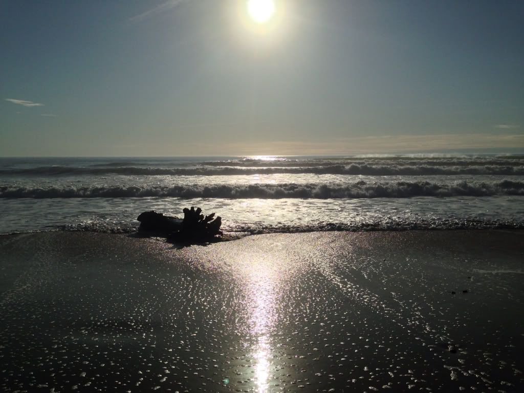 ce79c2392860b45275101abd288164e5.jpg