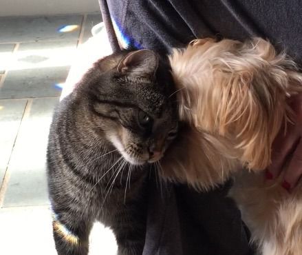 Charles with Koga