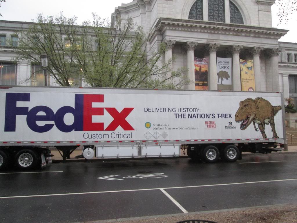 20140415TRexatSmithsonian13_zps1772769e.jpg