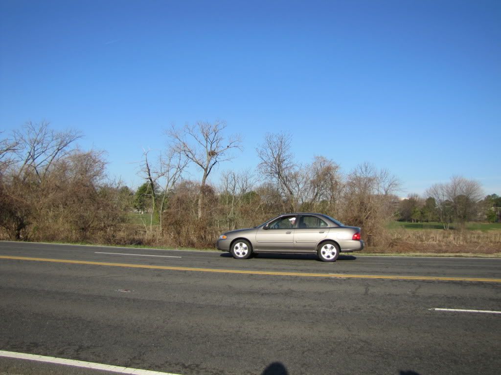 BaldEagle-GWPkwy-March2010-008.jpg