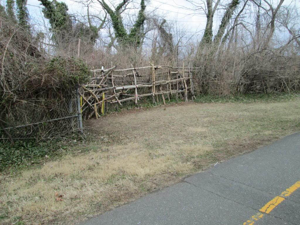 Custis201303024_zpsb2d872a7.jpg