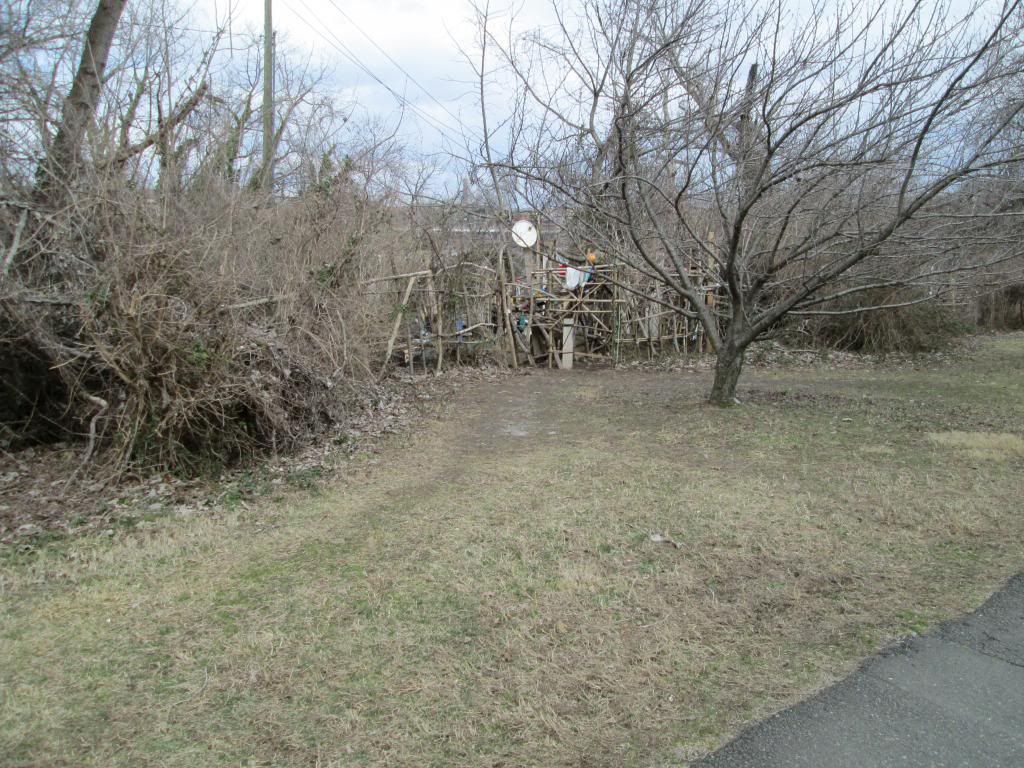 Custis201303025_zpsd789d46d.jpg