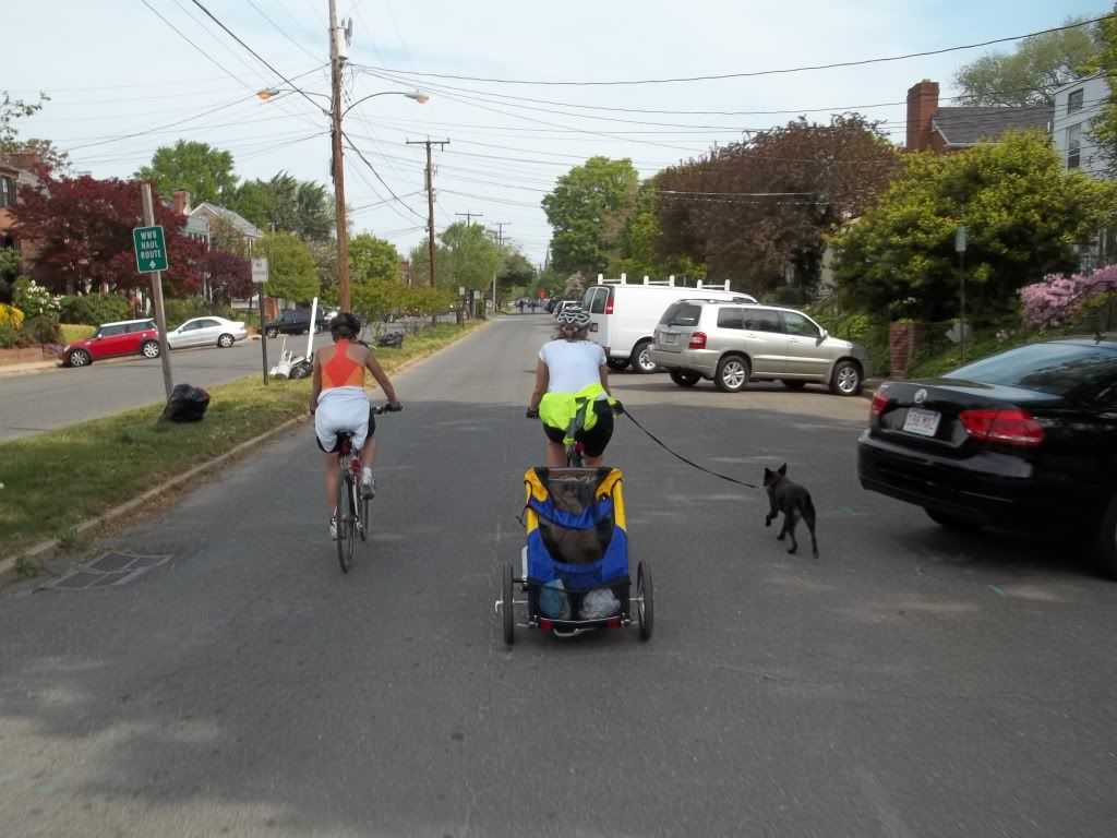 DogWalkingMVTApr20121.jpg