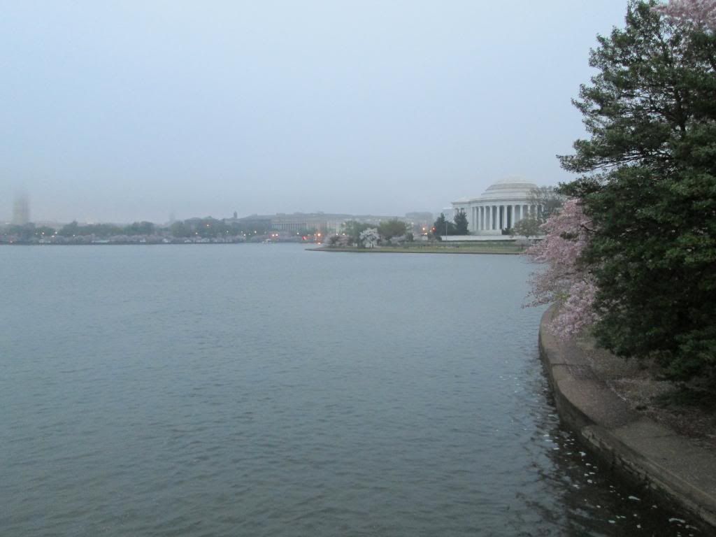 IMG_0008_zps38f75c3f.jpg