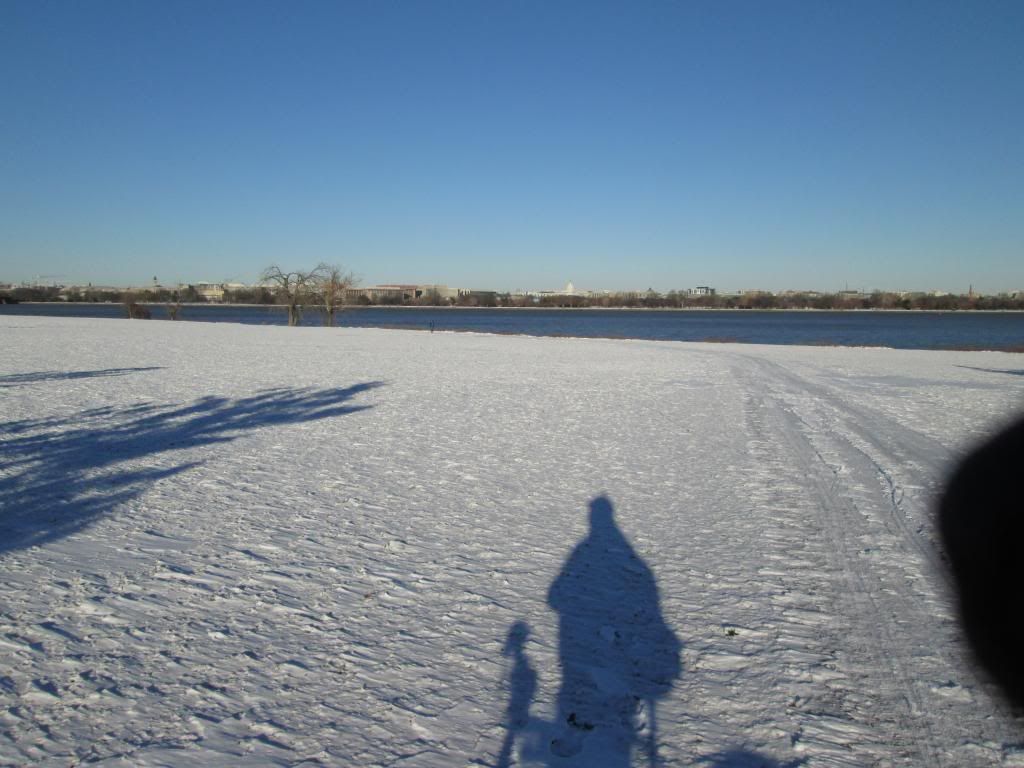 IMG_26171_zps82351098.jpg