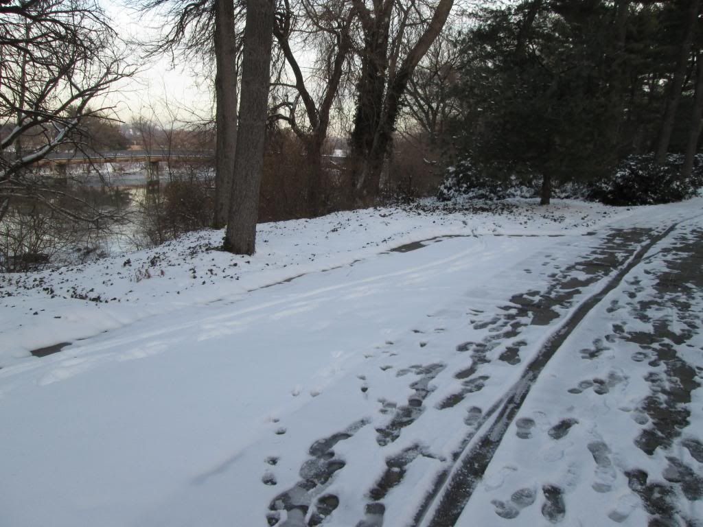 IMG_34771_zpsa9675ba5.jpg