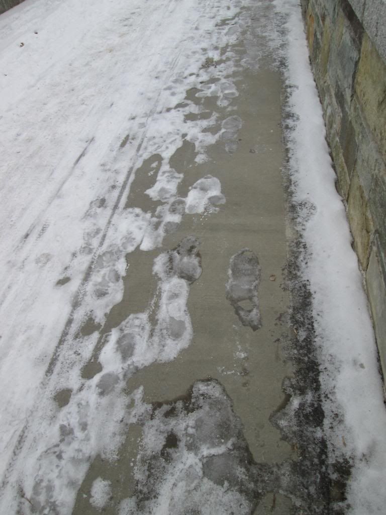 MVT201401265_zpsf23df77c.jpg