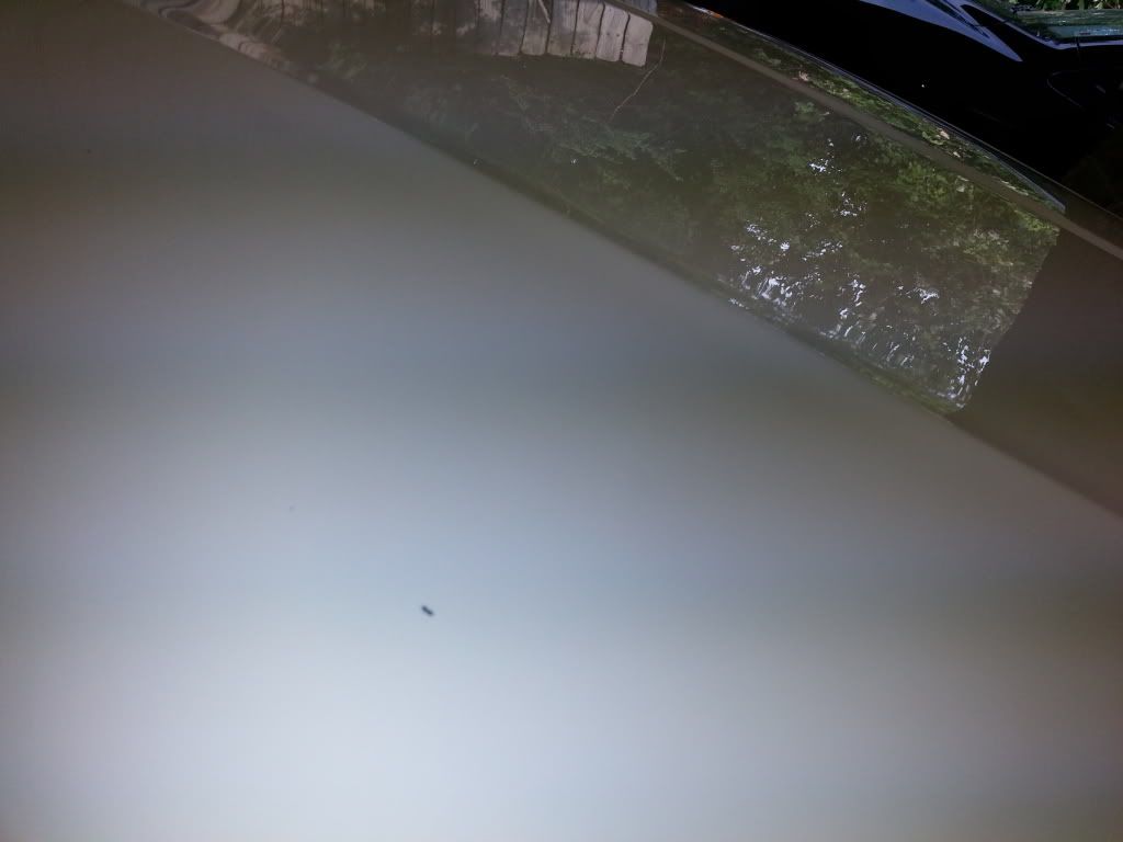 20130714_175007_zps6bf92073.jpg