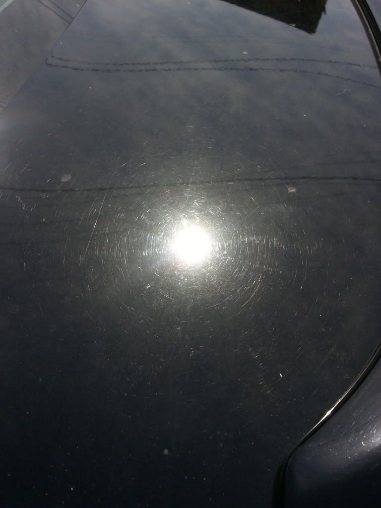 20130718_154334_zps2a39efd2.jpg