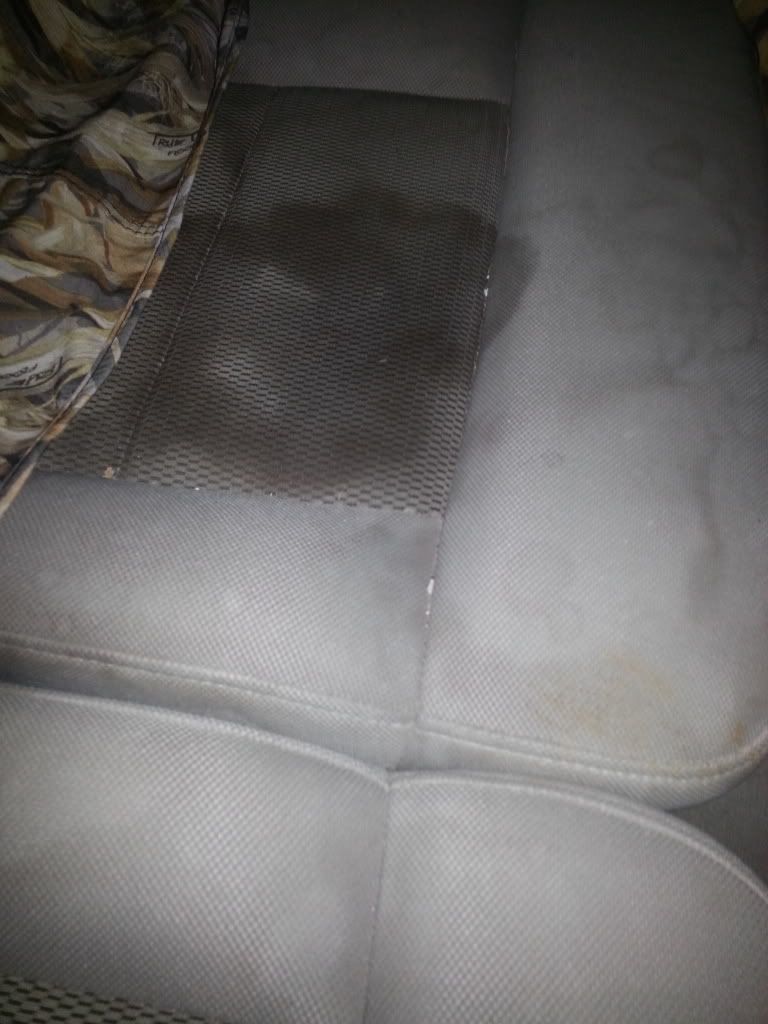20131123_123820_zps58f73404.jpg