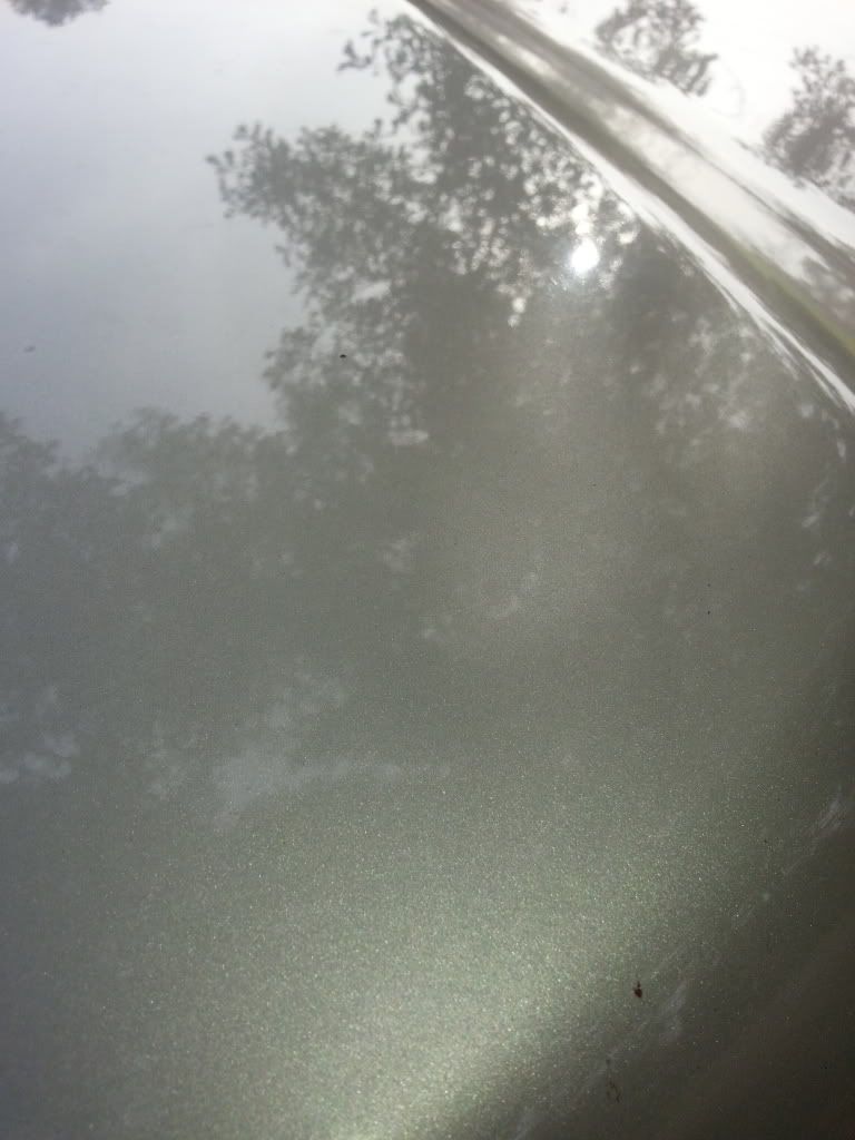 20131128_103347_zpsce64e4d7.jpg
