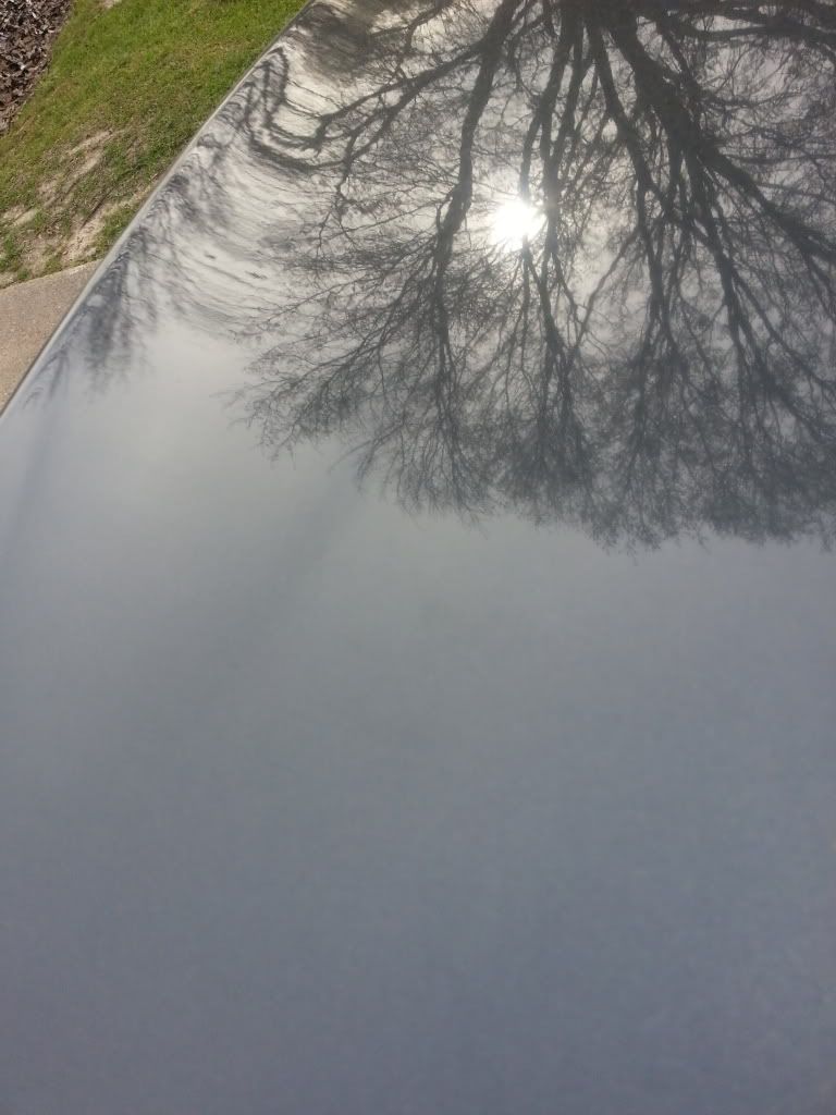 20140321_171659_zps72b35793.jpg
